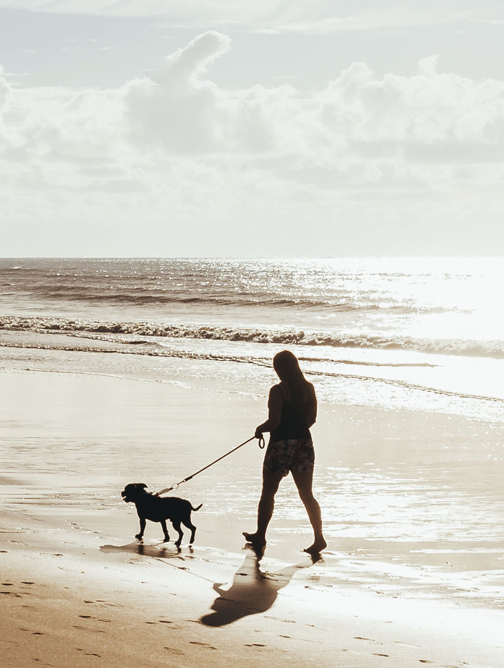 Image hover effect image